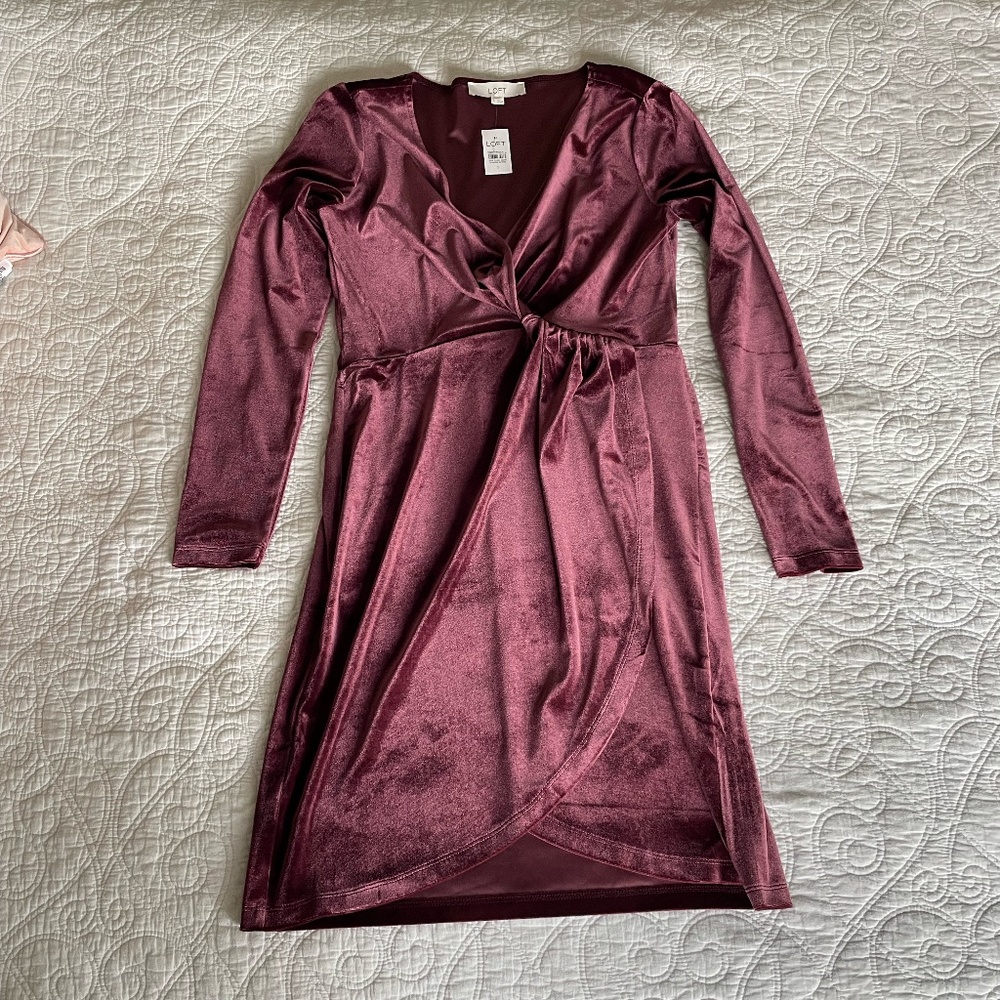 Velvet Winter Dress LOFT